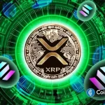 What Changes After XRP Goes Live on Solana?