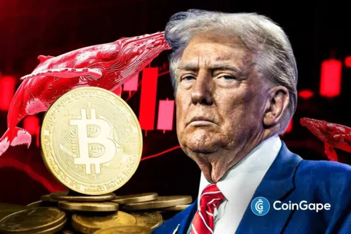 The Bitcoin price climbed above $70,000 yesterday, just a day after crashing to as low as $60,000. Amid this BTC rebound, experts continue to share their opinions about whether the bottom is in or if there is likely to be another Bitcoin crash. Meanwhile, the ‘Trump insider whale’ is dumping his BTC holdings, a move
The post <a href="https://coingape.com/will-bitcoin-crash-again-as-trump-insider-whale-dumps-6599-btc/">Will Bitcoin Crash Again as ‘Trump Insider’ Whale Dumps 6,599 BTC</a> appeared first on <a href="https://coingape.com/">CoinGape</a>.