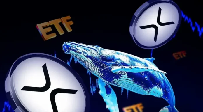 XRP Whale Accumulation and ETF Inflows Hit Multi-Month Highs, Analyst Says
