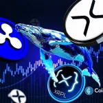 XRP Whales Turn More Bullish as Ripple Execs Head to Major XRPL Japan Event