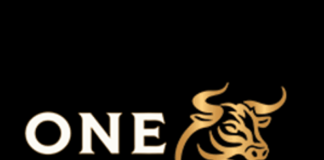 One Bullion Announces Share Consolidation
