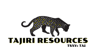 Tajiri Discovers Potentially Economic Gold Mineralization in Multiple Trenches at Yono Property Including: 12m@ 2.4 g/t; 20m@ 1.4g/t; 8m@ 1.0g/t; 18m@ 0.8g/t & 4m@ 5.5g/t Gold; Bordered by G Mining Ventures Oko West and G2 Goldfields Oko Properties, Guyana